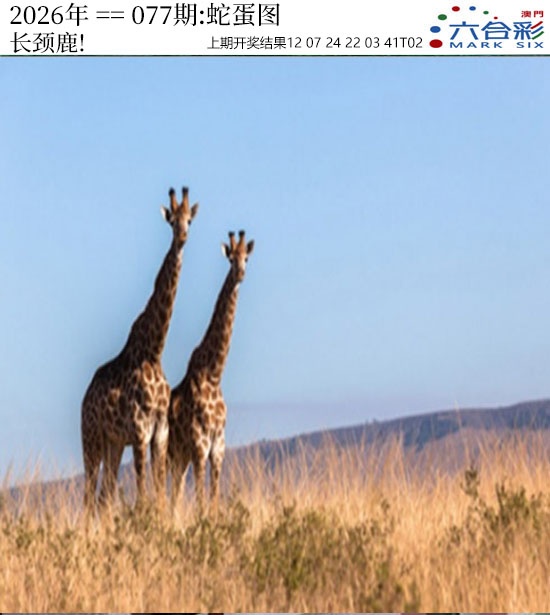 077期正版蛇蛋图[图]